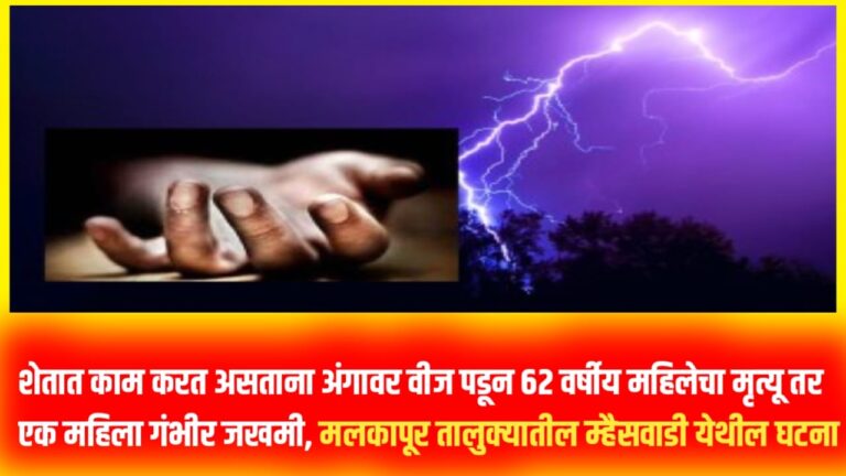 शेतात काम करत असताना अंगावर वीज पडून 62 वर्षीय महिलेचा मृत्यू तर एक महिला गंभीर जखमी, मलकापूर तालुक्यातील म्हैसवाडी येथील घटना