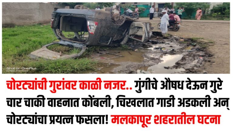 चोरट्यांची गुरांवर काळी नजर.. गुंगीचे औषध देऊन गुरे चार चाकी वाहनात कोंबली, चिखलात गाडी अडकली अन् चोरट्यांचा प्रयत्न फसला! मलकापूर शहरातील घटना