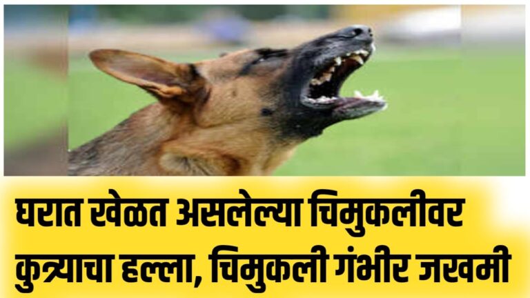 घरात खेळत असलेल्या चिमुकलीवर कुत्र्याचा हल्ला, चिमुकली गंभीर जखमी