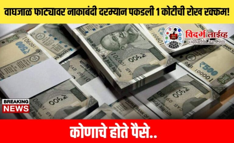 वाघजाळ फाट्यावर नाकाबंदी दरम्यान पकडली १ कोटीची रोख रक्कम! कोणाचे होते पैसे..