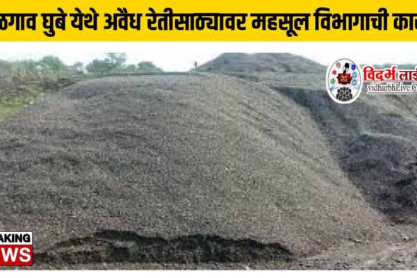 देऊळगाव घुबे येथे अवैध रेतीसाठ्यावर महसूल विभागाची कारवाई