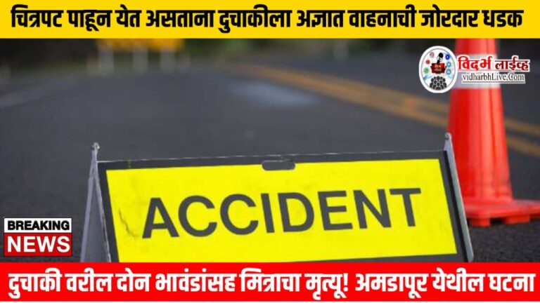 चित्रपट पाहून येत असताना दुचाकीला अज्ञात वाहनाची जोरदार धडक, दुचाकी वरील दोन भावंडांसह मित्राचा मृत्यू! अमडापूर येथील घटना