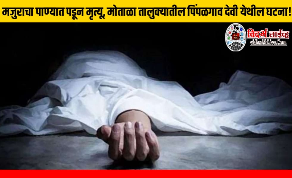 मजुराचा पाण्यात पडून मृत्यू, मोताळा तालुक्यातील पिंपळगाव देवी येथील घटना!
