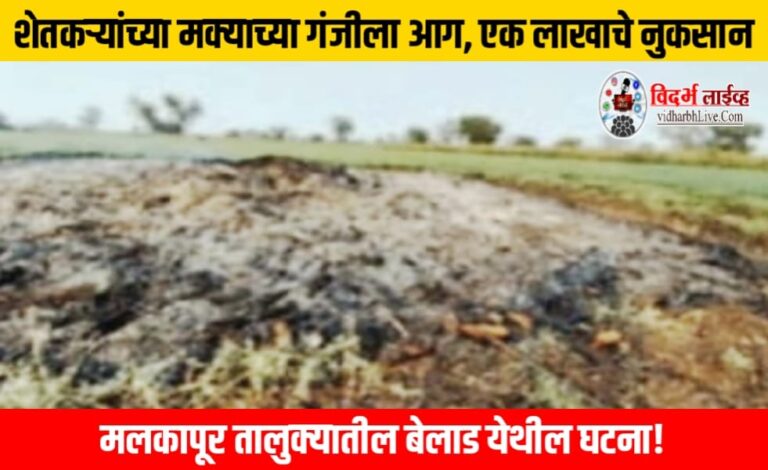 शेतकऱ्यांच्या मक्याच्या गंजीला आग, एक लाखाचे नुकसान, मलकापूर तालुक्यातील बेलाड येथील घटना!