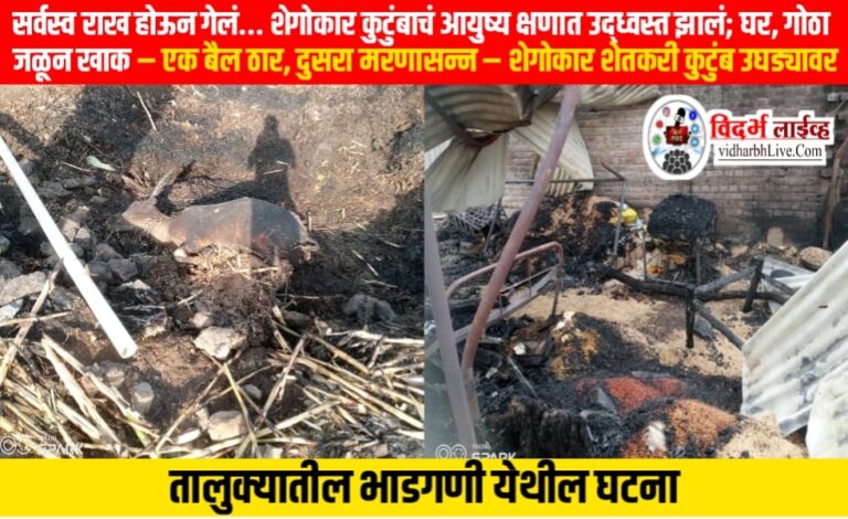 सर्वस्व राख होऊन गेलं… शेगोकार कुटुंबाचं आयुष्य क्षणात उद्ध्वस्त झालं; घर, गोठा जळून खाक – एक बैल ठार, दुसरा मरणासन्न – शेगोकार शेतकरी कुटुंब उघड्यावर, तालुक्यातील भाडगणी येथील घटना