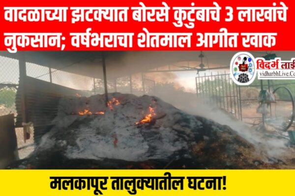 वादळाच्या झटक्यात बोरसे कुटुंबाचे 3 लाखांचे नुकसान; वर्षभराचा शेतमाल आगीत खाक