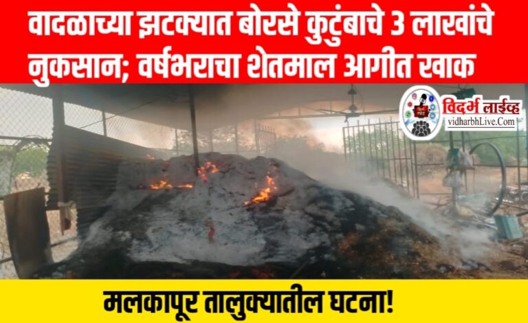 वादळाच्या झटक्यात बोरसे कुटुंबाचे 3 लाखांचे नुकसान; वर्षभराचा शेतमाल आगीत खाक