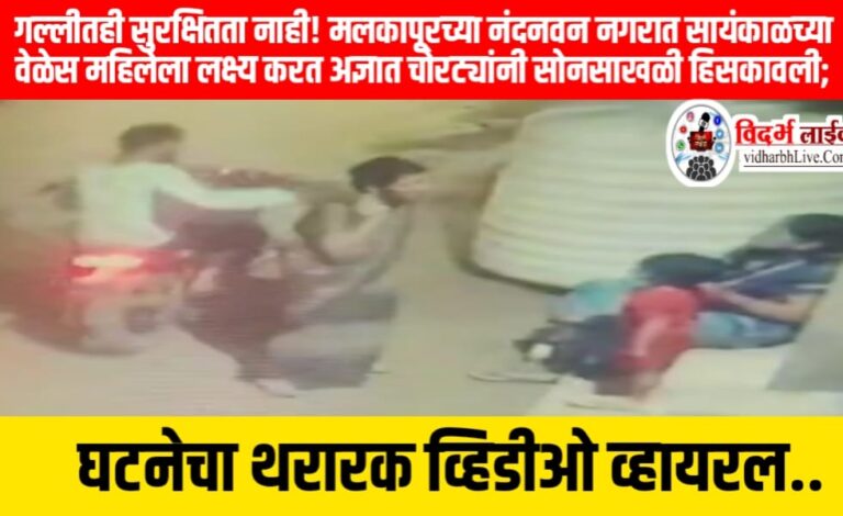 गल्लीतही सुरक्षितता नाही! मलकापूरच्या नंदनवन नगरात सायंकाळच्या वेळेस महिलेला लक्ष्य करत अज्ञात चोरट्यांनी सोनसाखळी हिसकावली; घटनेचा थरारक व्हिडीओ व्हायरल ?