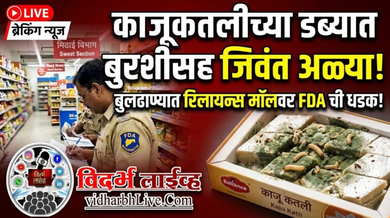 काजूकतलीच्या डब्यात बुरशीसह जिवंत अळ्या! बुलढाण्यात एफडीएची रिलायन्स मॉलवर धडक